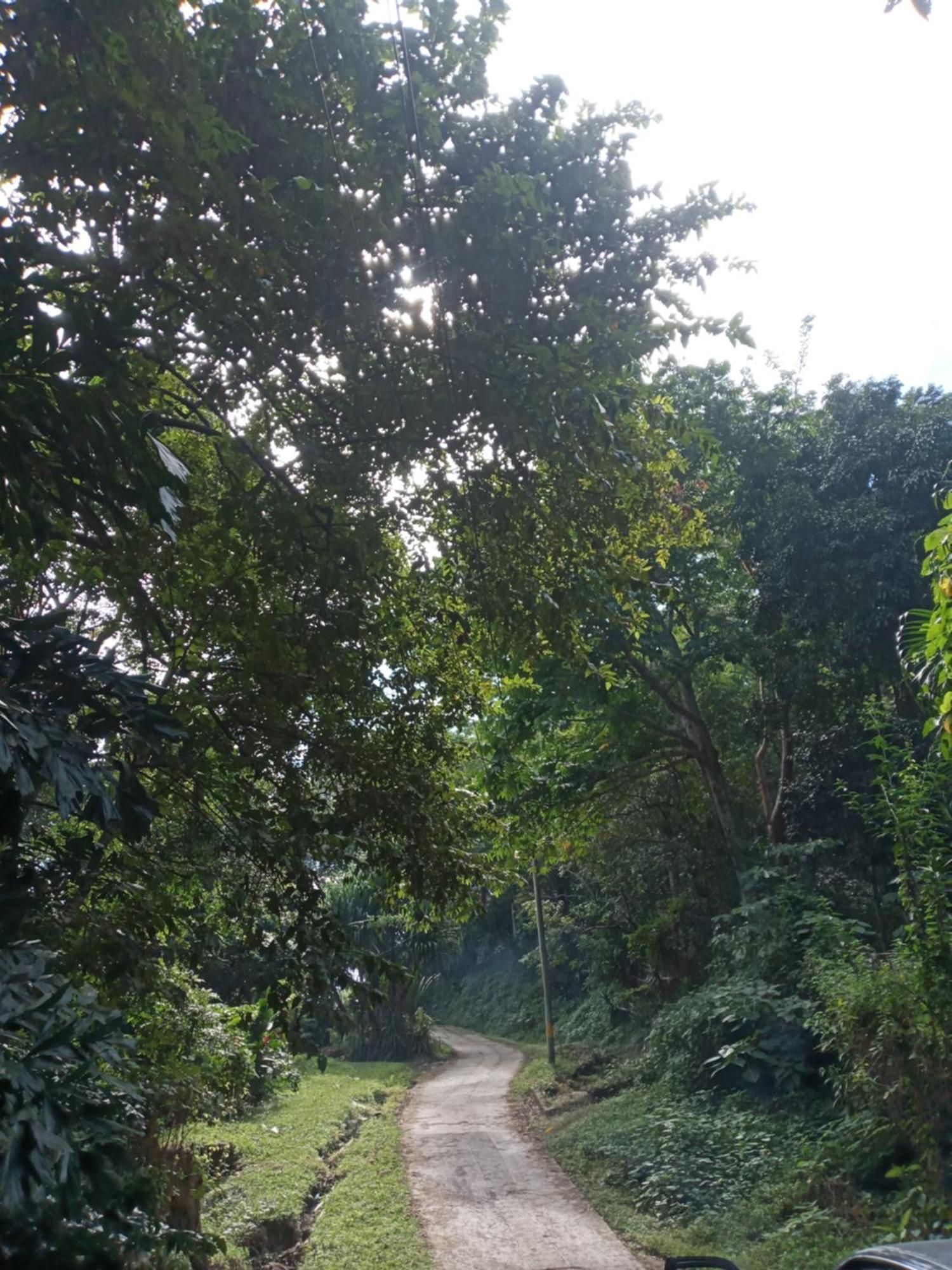Hostal Juan Lindo San Pedro Sula Luaran gambar