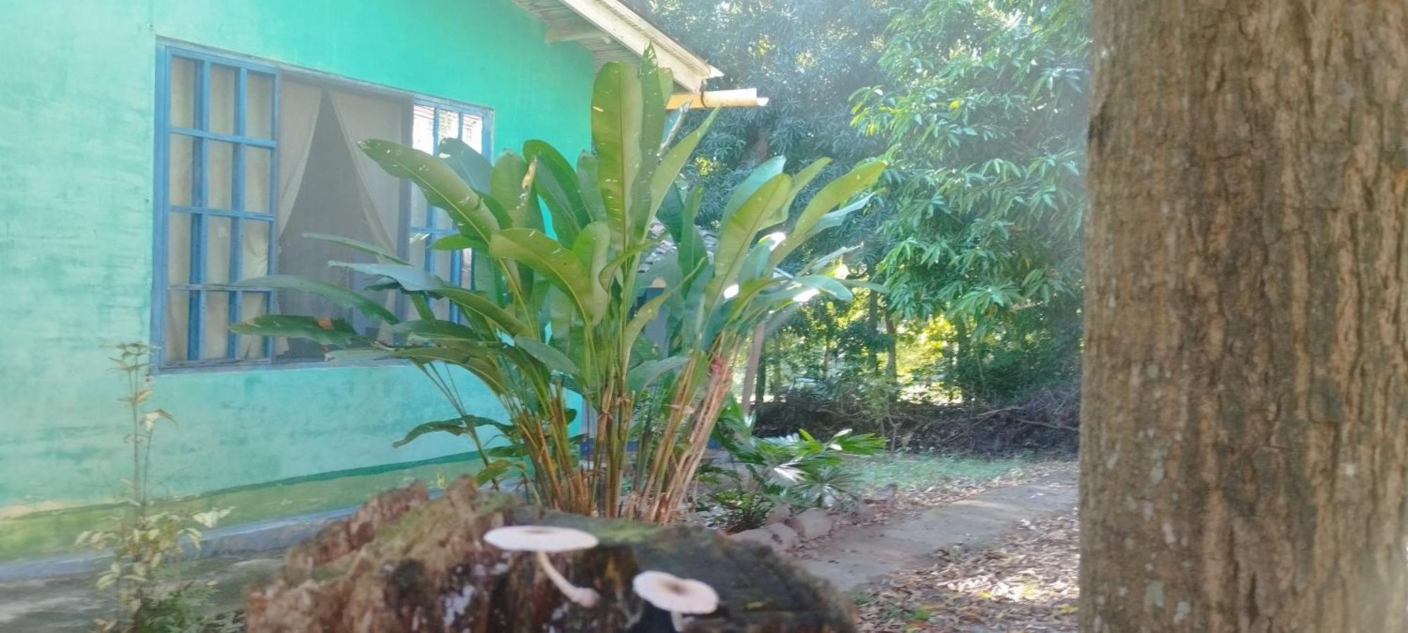 Hostal Juan Lindo San Pedro Sula Luaran gambar